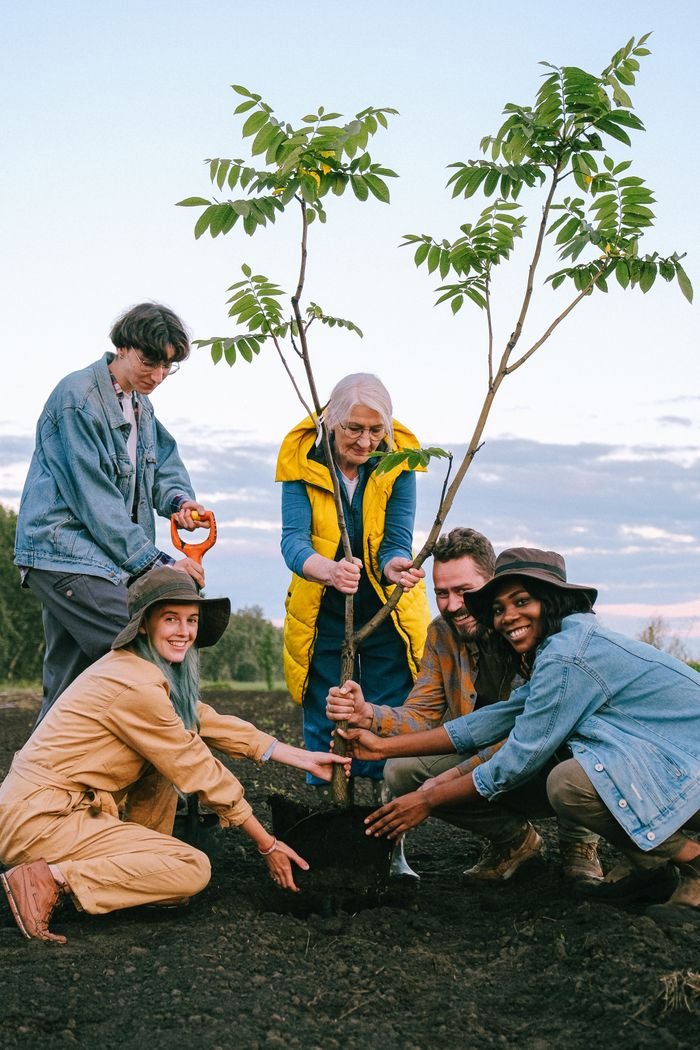 about-02 A joyful group of volunteers planting a tree outdoors, symbolizing community and teamwork.